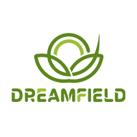 DreamField