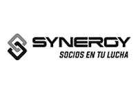 Synergy Logo